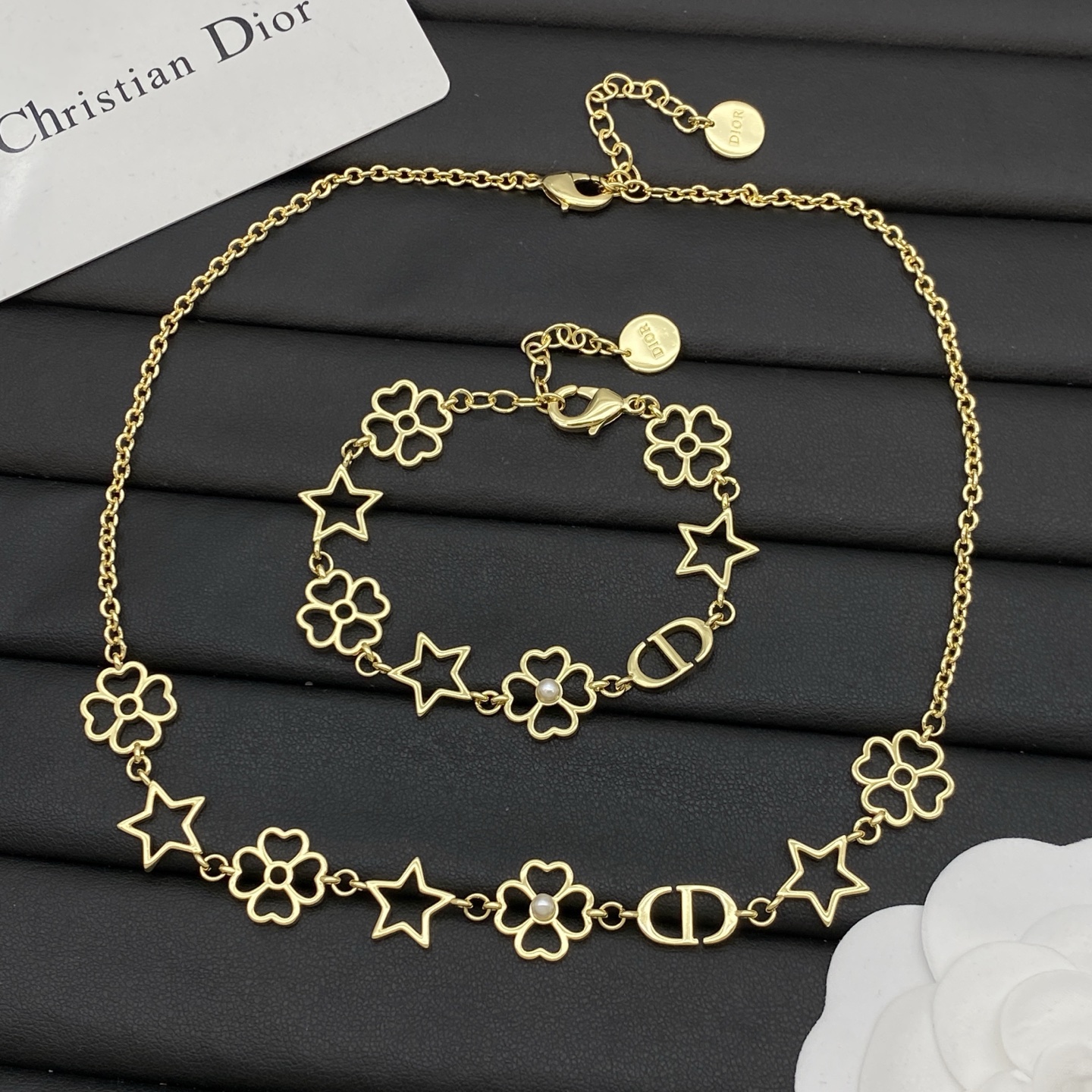 CD Necklace and earring 138299