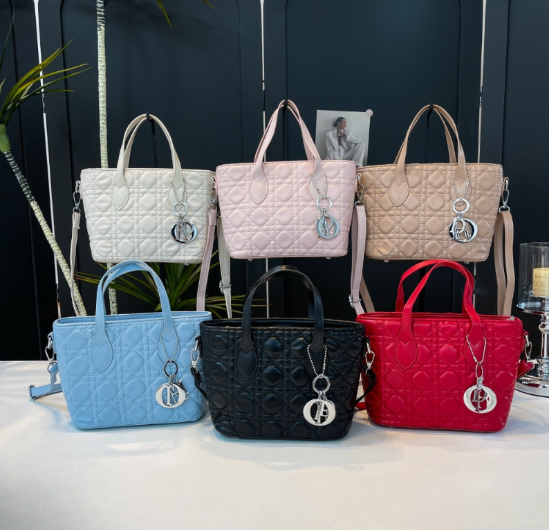 D bag(CX9039--038)